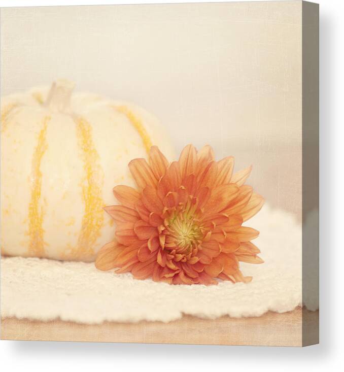 Pumpkin Canvas Print featuring the photograph Autumn Splendor by Kim Hojnacki