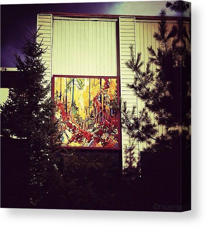 Teamrebel Canvas Print featuring the photograph autumn's Garland By Tom Thomson by Natasha Marco