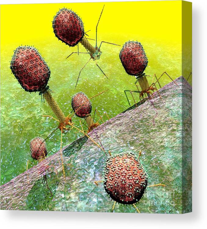 Bacteria Canvas Print featuring the digital art Bacteriophage T4 virus group 2 by Russell Kightley