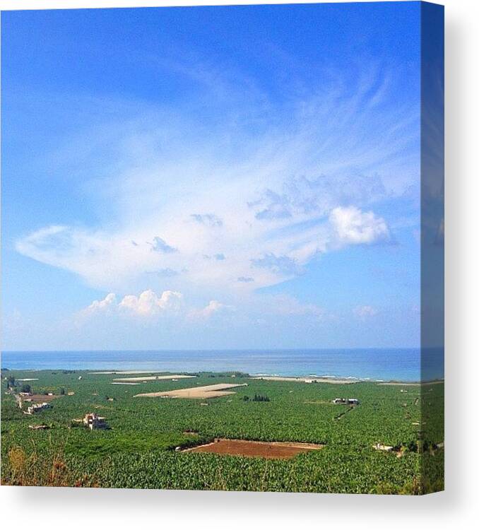 Scenery Canvas Print featuring the photograph Banana Plantations And Strikingly Blue by Dimitre Mihaylov