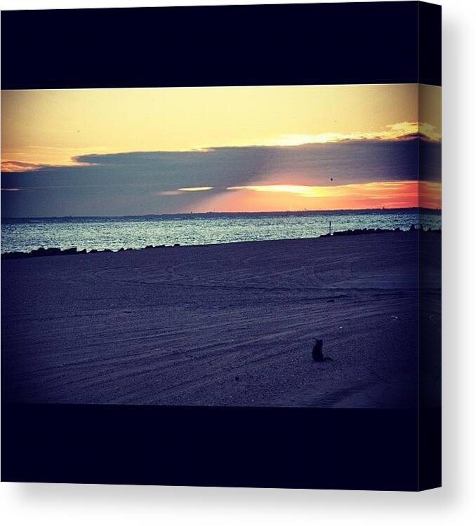Sspics Canvas Print featuring the photograph #beach #ocean #oceanside #sky #sun by Julia Meyer