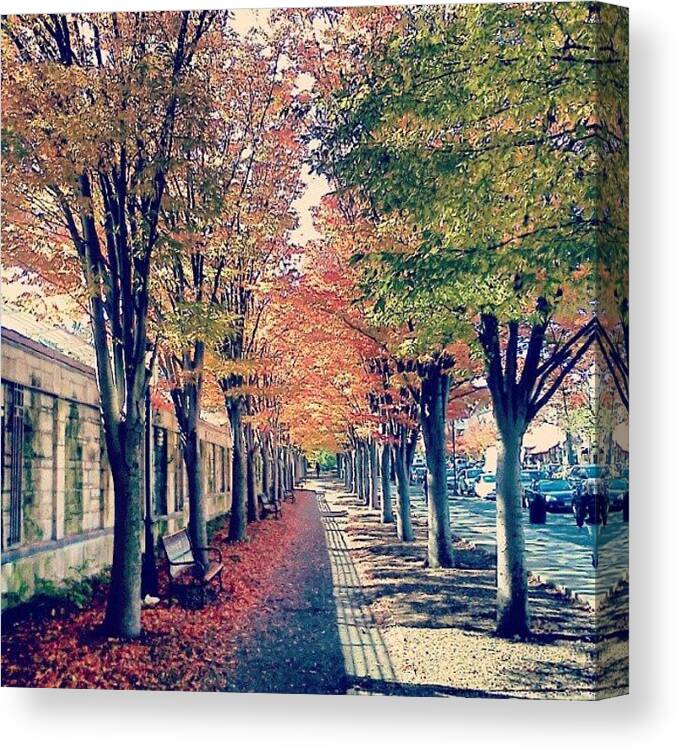 Nj Canvas Print featuring the photograph Beauiful Fall Days. #princeton #fall by Amanda Schoonover