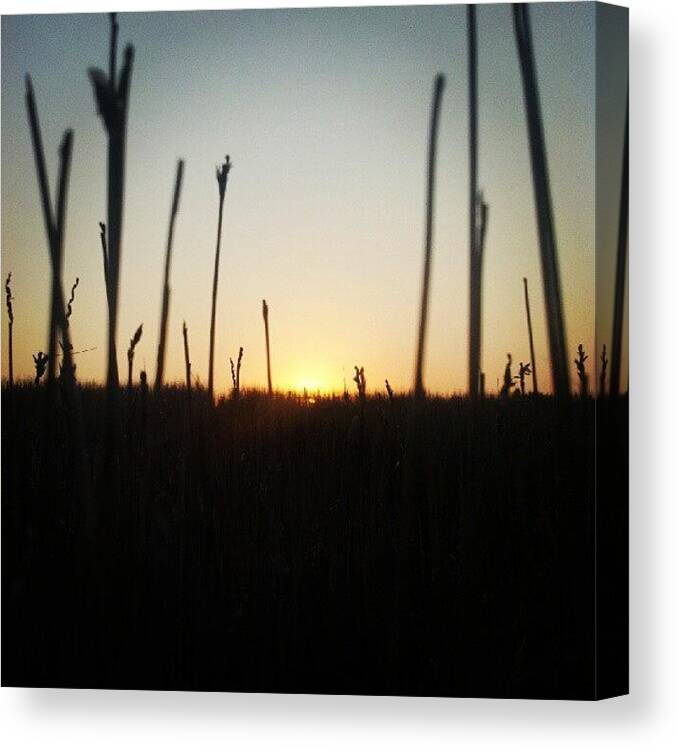 Beautiful Canvas Print featuring the photograph Beautiful Kansas Sunset by Stephen Cooper