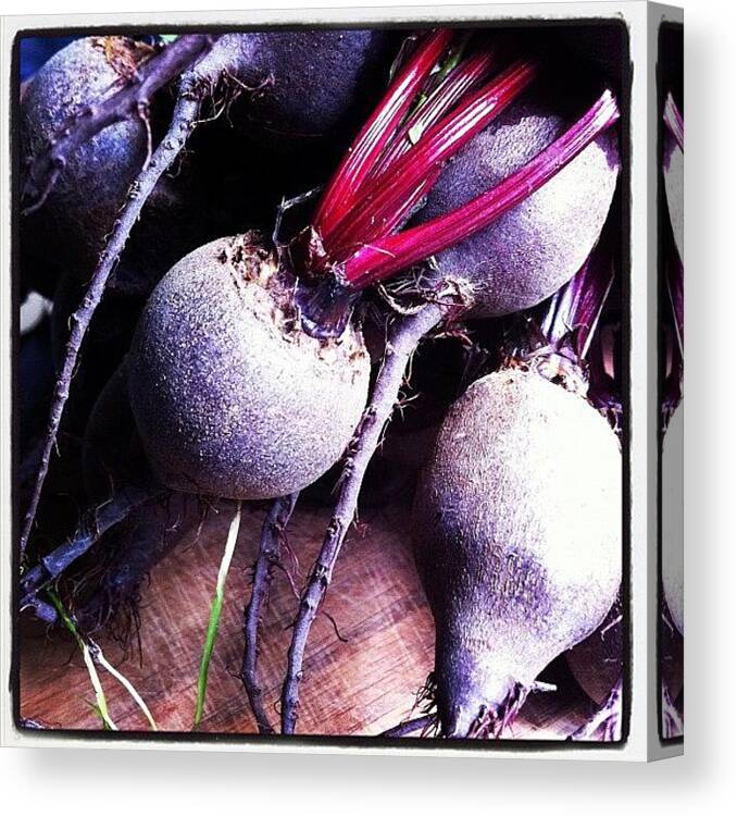 Beetroot Canvas Print featuring the photograph Beetroot by Katie Alleva