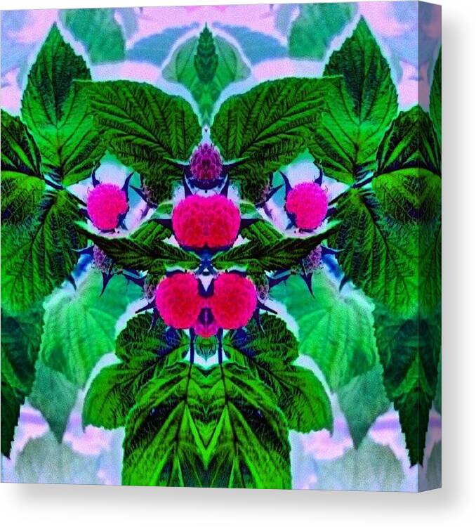 Mariannedow Canvas Print featuring the photograph Berry Berry #abstract #android #art by Marianne Dow