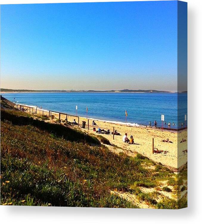 Grass Canvas Print featuring the photograph Beside The Seaside, Beside The Sea by Robyn Padden