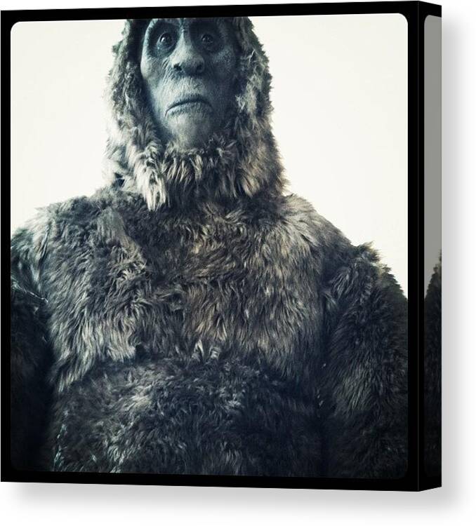 Oregon Canvas Print featuring the photograph Bigfoot by Jason Walton