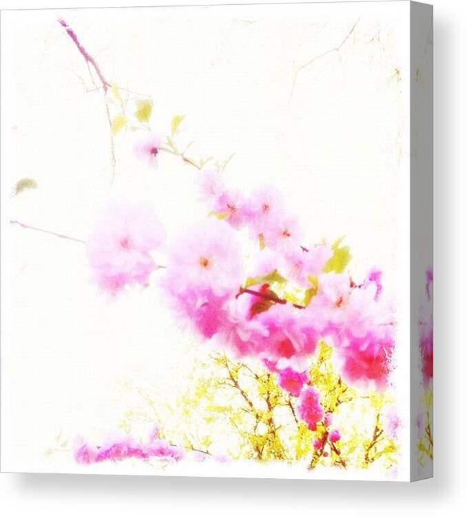 Naturelover Canvas Print featuring the photograph Bloom! by Jessica Mutimer