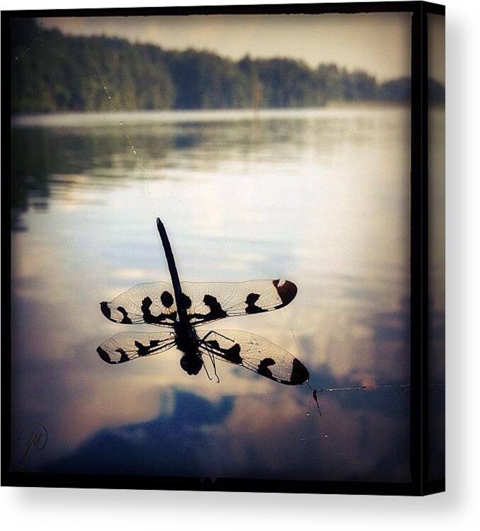 C_insect_contest Canvas Print featuring the photograph Blowin In The Wind by Jenna Malloway