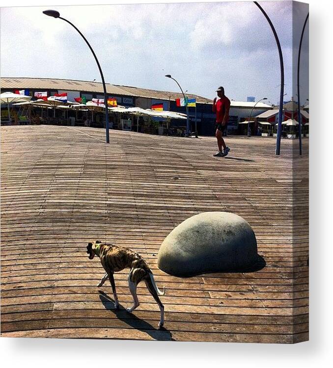 Beautiful Canvas Print featuring the photograph #boardwalk #dog #man #telaviv #walking by Alon Ben Levy