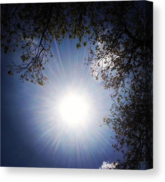 Summer Canvas Print featuring the photograph Bright!!! ☀ #summer #sunshine #hot by Ady Griggs