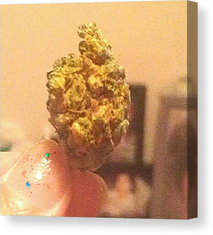420follow Canvas Print featuring the photograph #bud #greenbud #420 #420follow #dank by McKinley Thueson