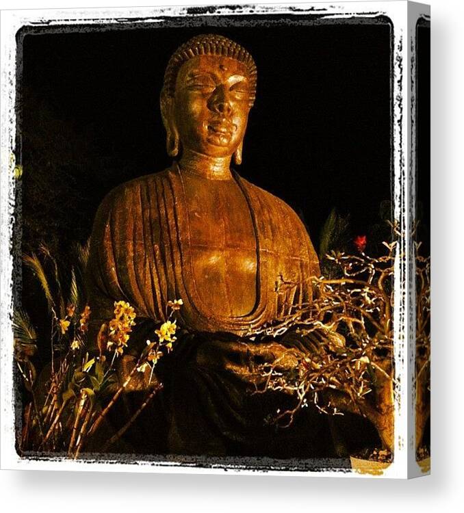 Garden Canvas Print featuring the photograph Buddha by Darice Machel McGuire