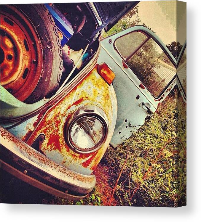 Blue Canvas Print featuring the photograph #bug #beetle #vw #volkswagen #veedub by A Loving