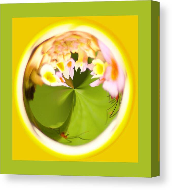 Orb Canvas Print featuring the photograph Buggy Flower Orb by Bill Barber