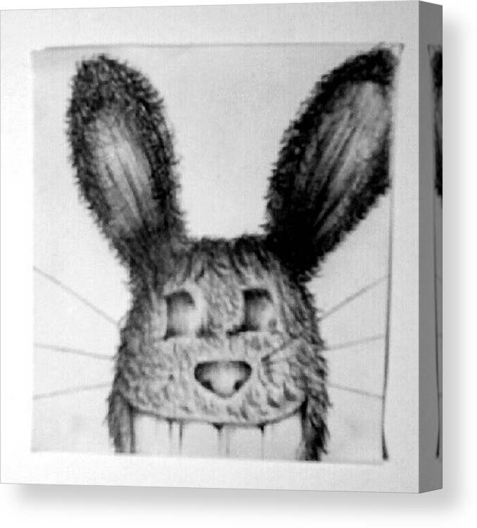 Doodle Canvas Print featuring the photograph Bunny Creep by Jasmin Dring