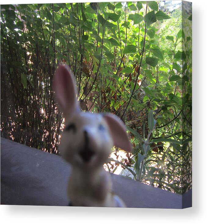Bunny Canvas Print featuring the photograph Bunny of Joy by Steve Fields