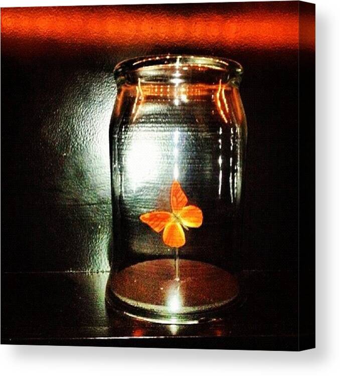 Beautiful Canvas Print featuring the photograph Butterfly Jar by T Catonpremise