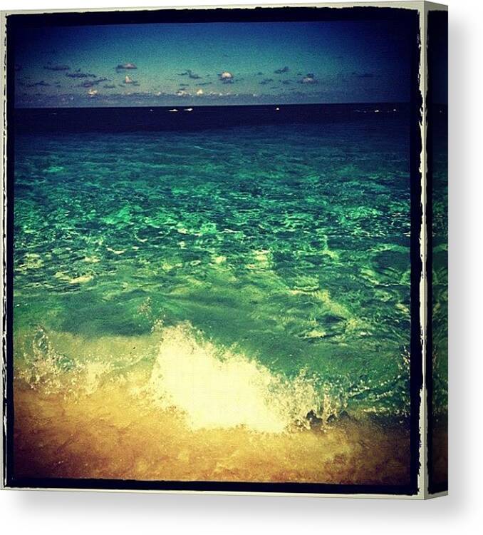 Perfect Canvas Print featuring the photograph Cabbage Beach by Abbey Bays