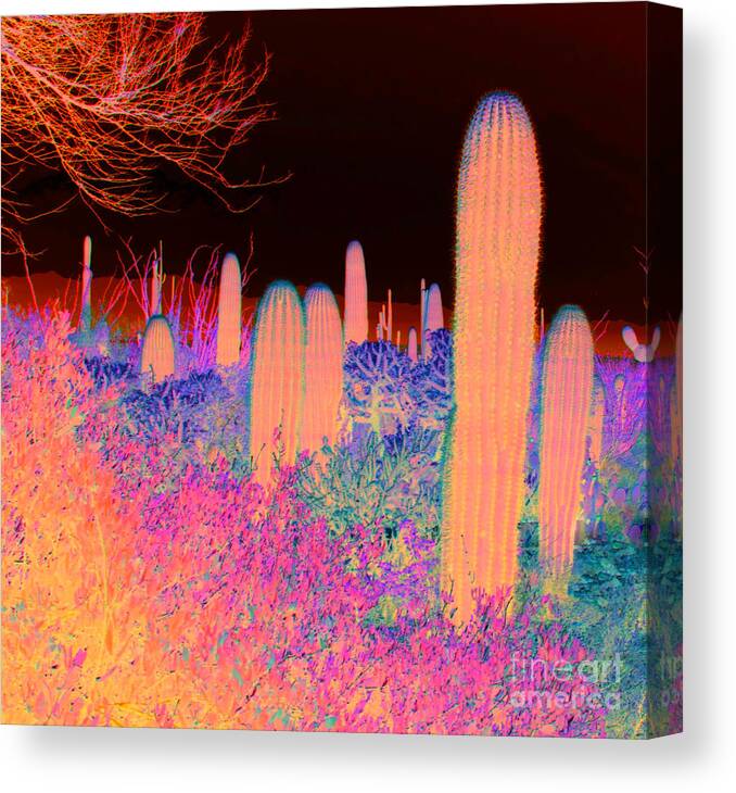 Cactus Canvas Print featuring the photograph Cactus by Julie Lueders 