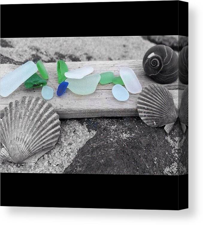 Shells Canvas Print featuring the photograph Calm by Kelli Panuska