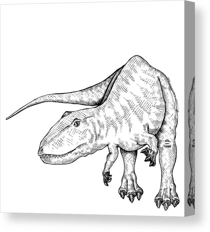 Cartoon Canvas Print featuring the drawing Carcharodontosaurus - Dinosaur by Karl Addison