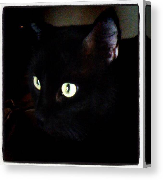Eyes Canvas Print featuring the photograph #cat #blackcat #eyes by Jamie H