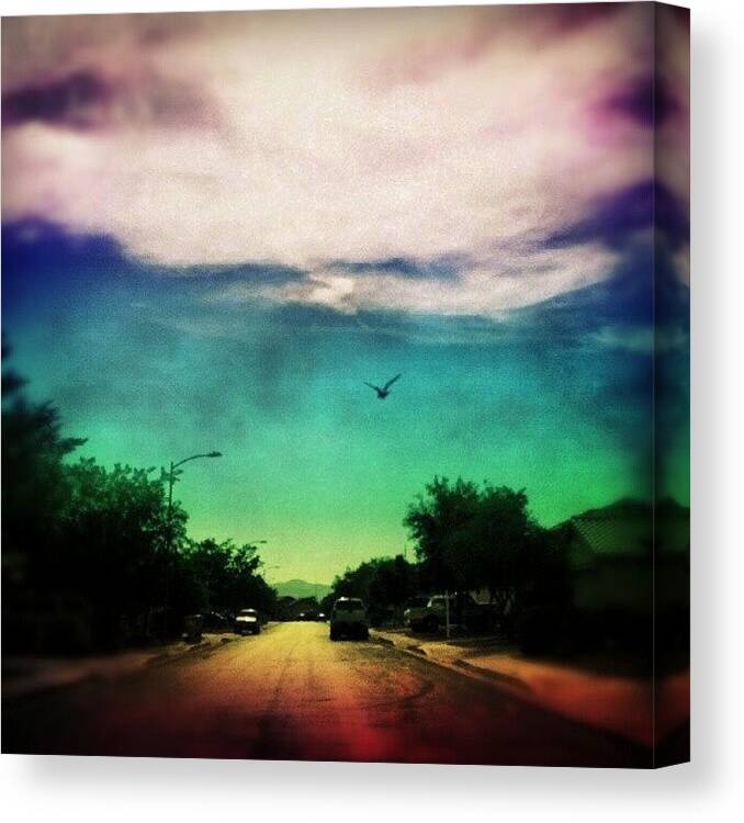 Art Canvas Print featuring the photograph Caught A Bird Flying In Front Of Me by Adam Snow