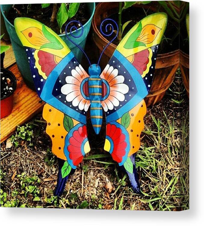 Butterfly Canvas Print featuring the photograph Checking Out The #garden #gardendecor by Fernando Ostos