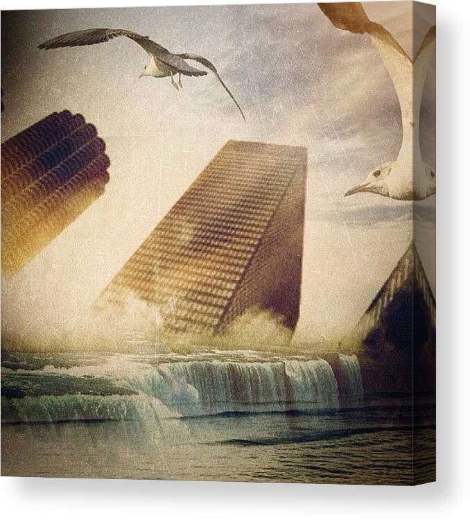 Chicagood Canvas Print featuring the photograph #chicagoriver #chaos #flood #seagulls by James Roach