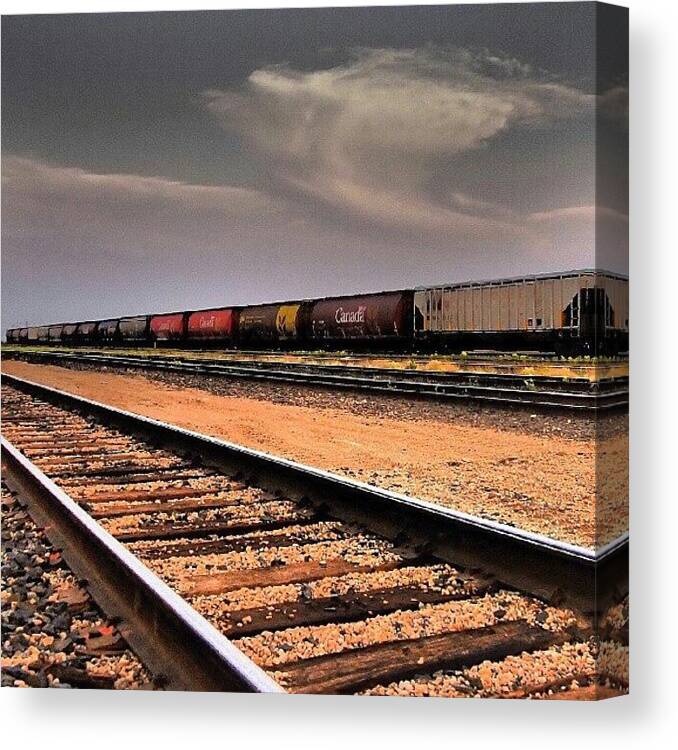 Traintracks Canvas Print featuring the photograph #cnrail #trains #traintracks #melville by Michael Squier