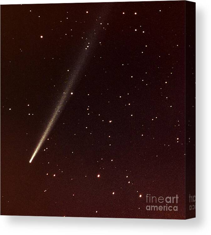 Comet Ikeya-seki Canvas Print featuring the photograph Comet Ikeya-seki by Science Source
