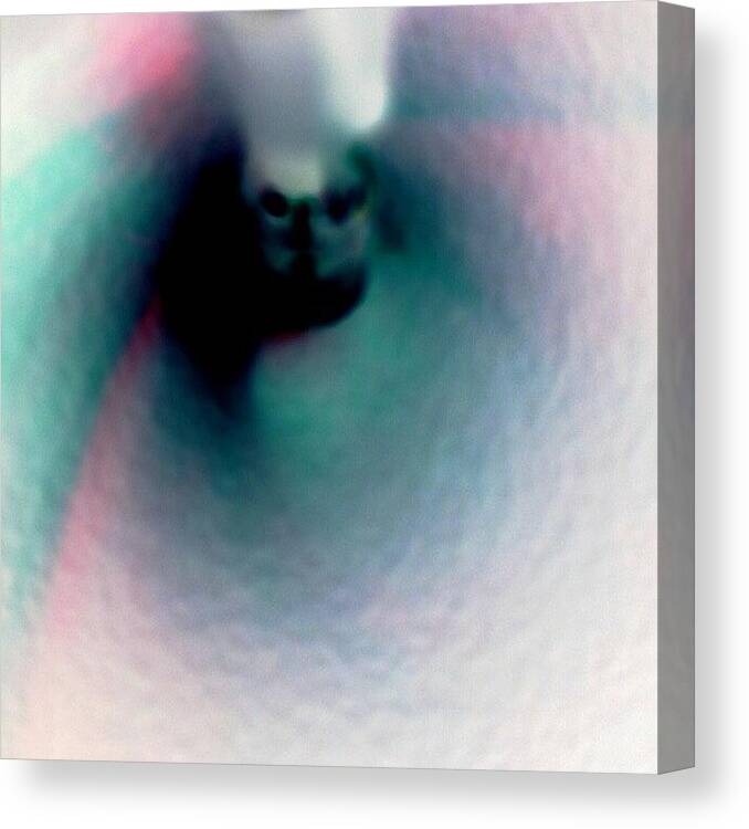 Cotton Canvas Print featuring the photograph Cotton Candy Skull by Ann Miles