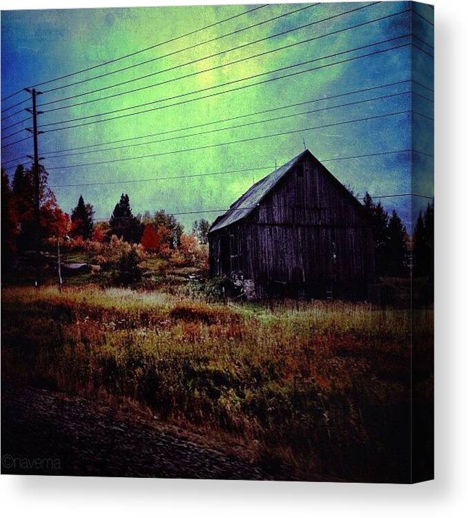 Teamrebel Canvas Print featuring the photograph Country Blue by Natasha Marco