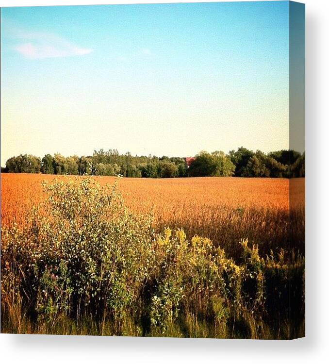 Walking Canvas Print featuring the photograph #countryside #countrylife #walking by Marc Plouffe