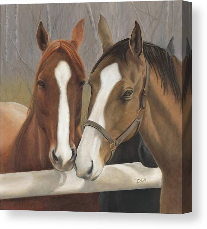 Horses Showing Affection Over The Fence Canvas Print featuring the painting Courtship by Tammy Taylor