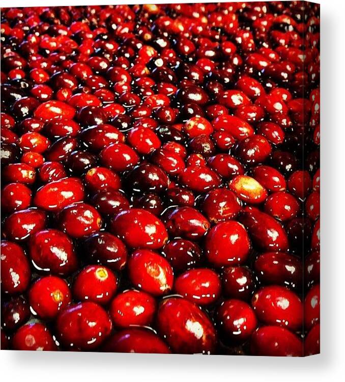 South Canvas Print featuring the photograph #cranberries by Laura OConnell