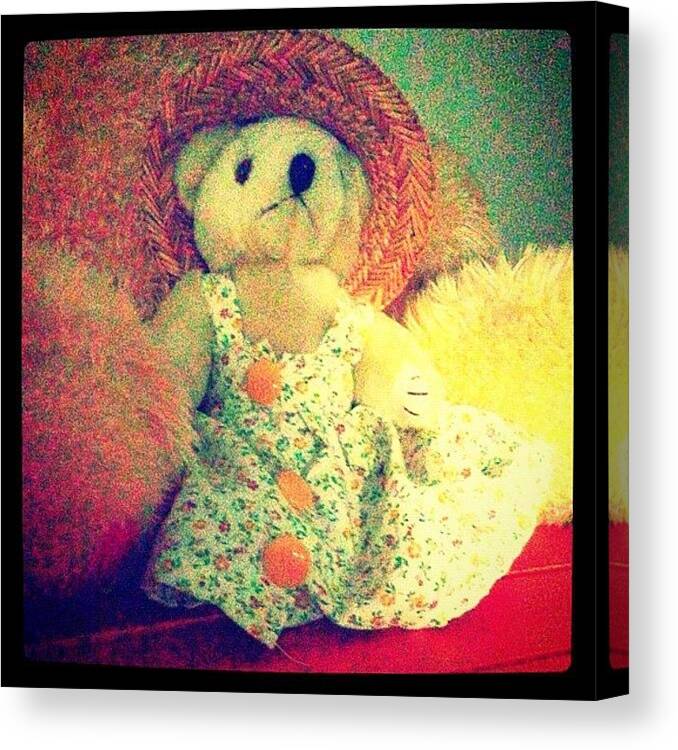 Cute Canvas Print featuring the photograph #cute #little #teddy #bear #summer by Logan Mcpherson
