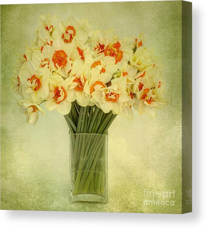 Daffodil Canvas Print featuring the photograph Daffodils in a Glass Vase by Ann Garrett