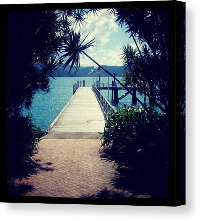 Daydream Island Canvas Print featuring the photograph DayDream Island Whitsunday's by Kay Mac