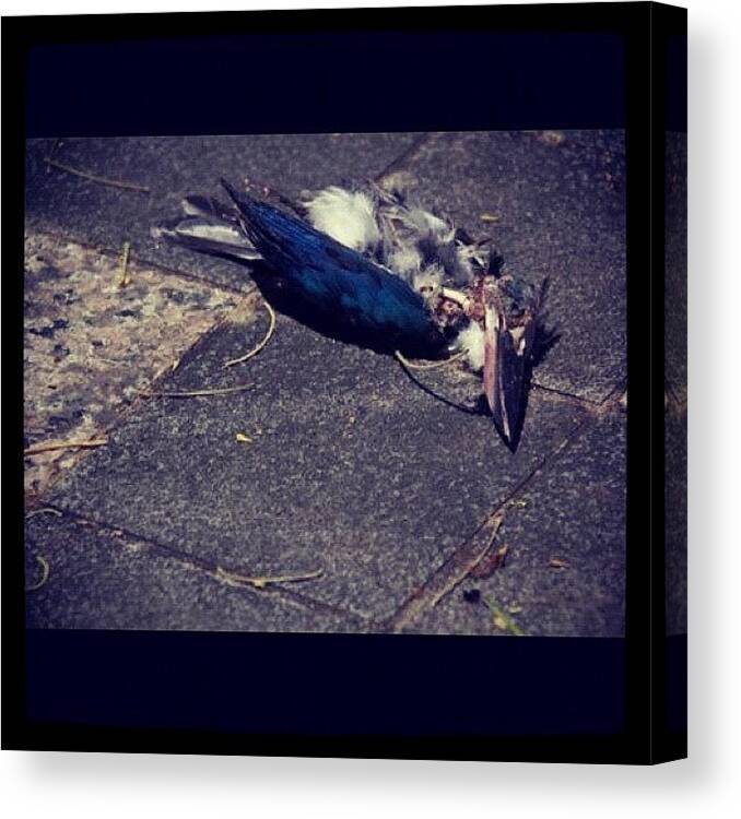 Scared Canvas Print featuring the photograph Death by Szu Kiong Ting