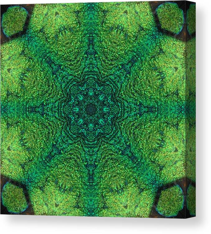 Abstract Canvas Print featuring the digital art Dichro Green by Kathy Sheeran