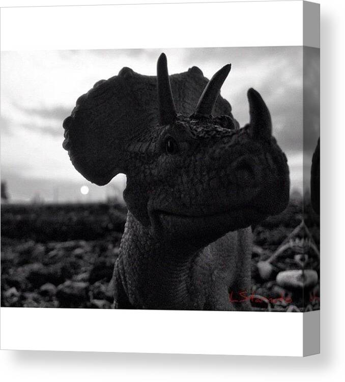 Toy Canvas Print featuring the photograph #dino Loves A Good #sunset by Lester Starnuto