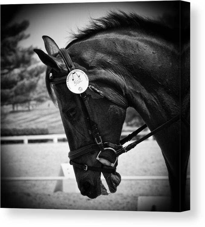Eventing Canvas Print featuring the photograph Discipline by Carrie Cranwill