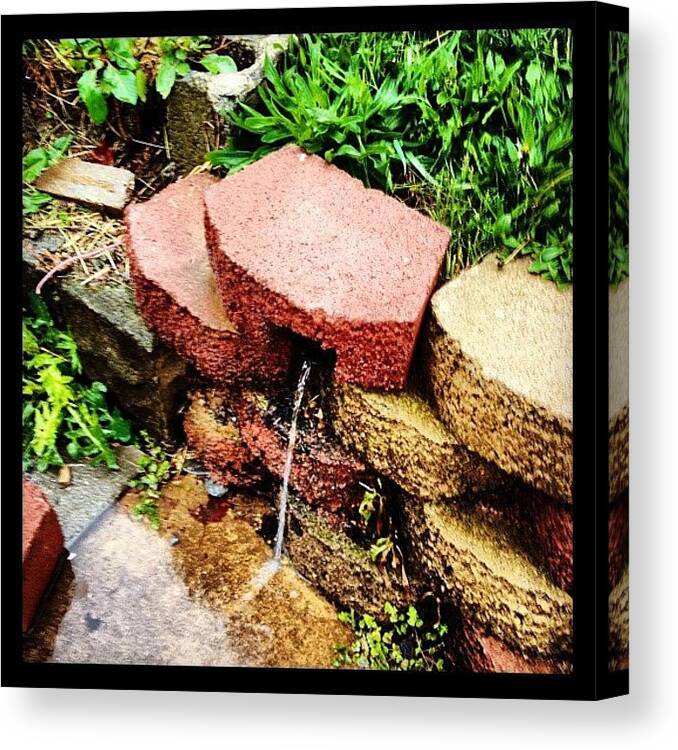 Pipe Canvas Print featuring the photograph Drain Pipe At Work by Rob Murray