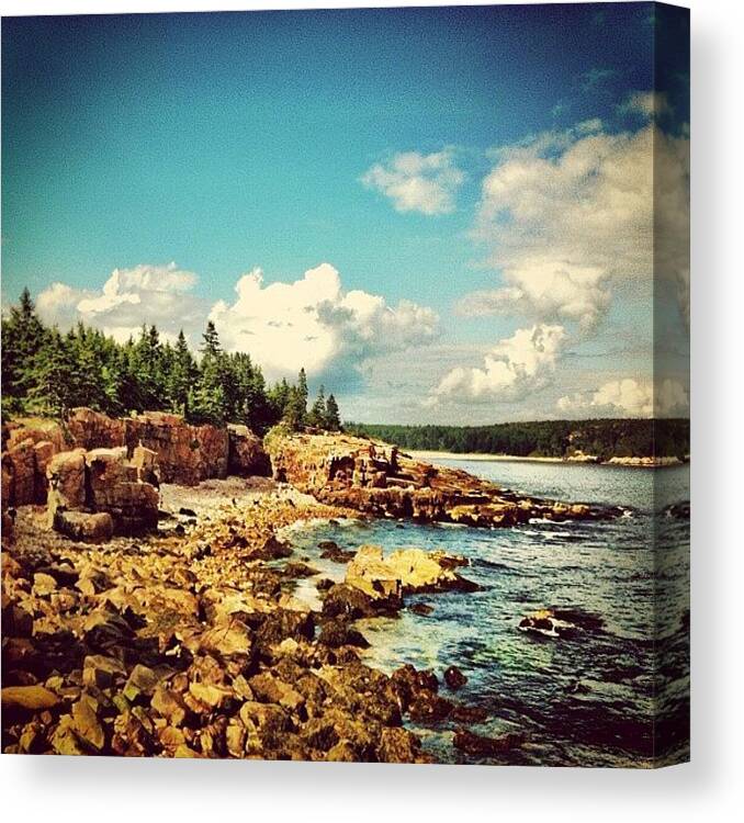 Summer Canvas Print featuring the photograph Driving On The Coast. #maine #acadia by Luke Kingma
