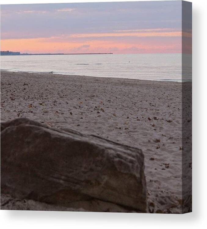 Beach Canvas Print featuring the photograph Durand Drift Wood  by Justin Connor