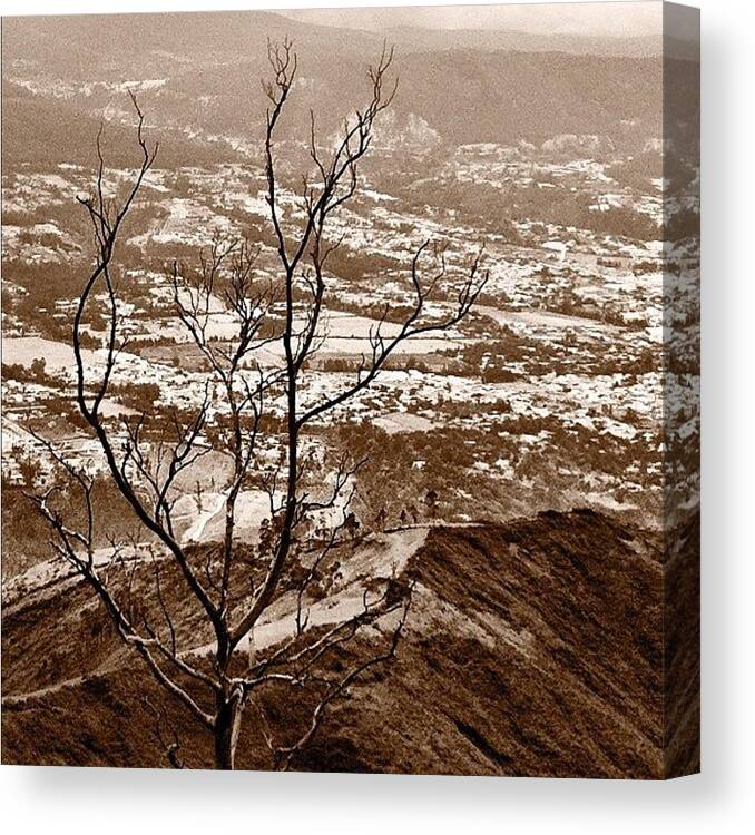 Igersecuador Canvas Print featuring the photograph #ecuador #trees #nature #photooftheday by Martin Endara