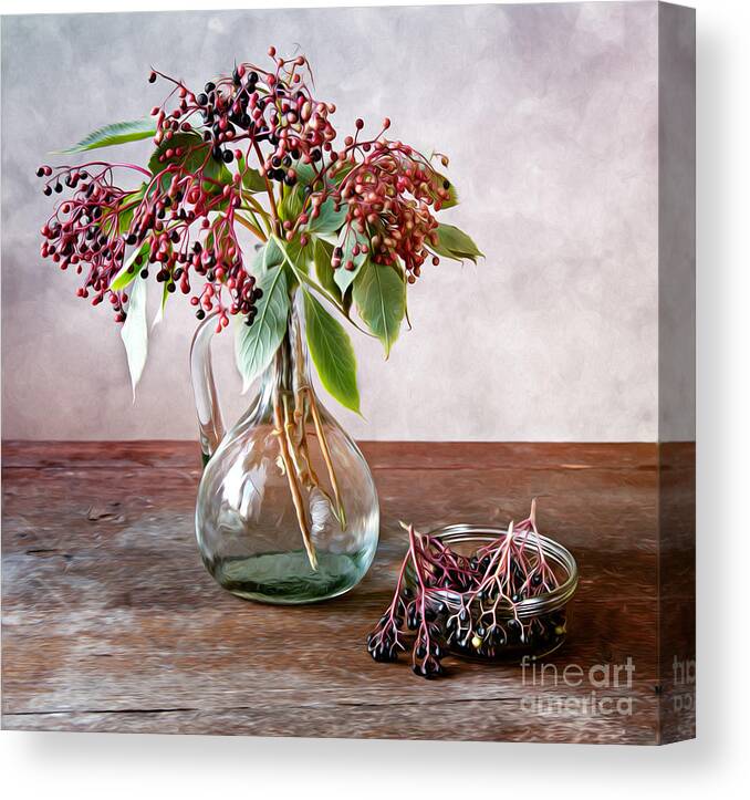 Autumn Canvas Print featuring the painting Elderberries 01 by Nailia Schwarz