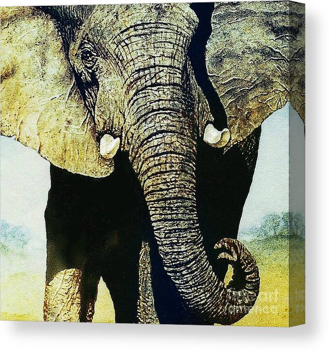 Elephant Canvas Print featuring the painting Elephant Close-Up by Hartmut Jager